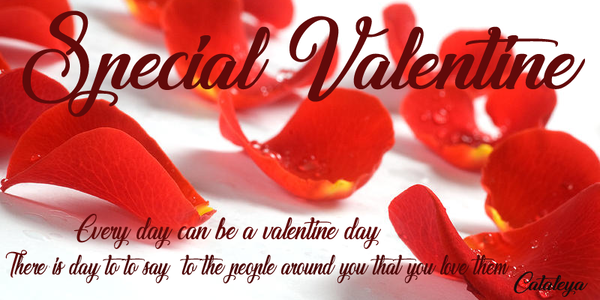 Special Valentine font